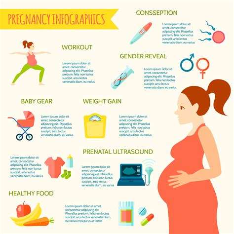 Pregnancy Infographic Template